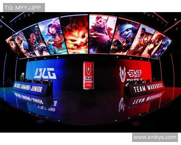 职业联赛特别报道BLG战队的拼搏历程与荣耀追求